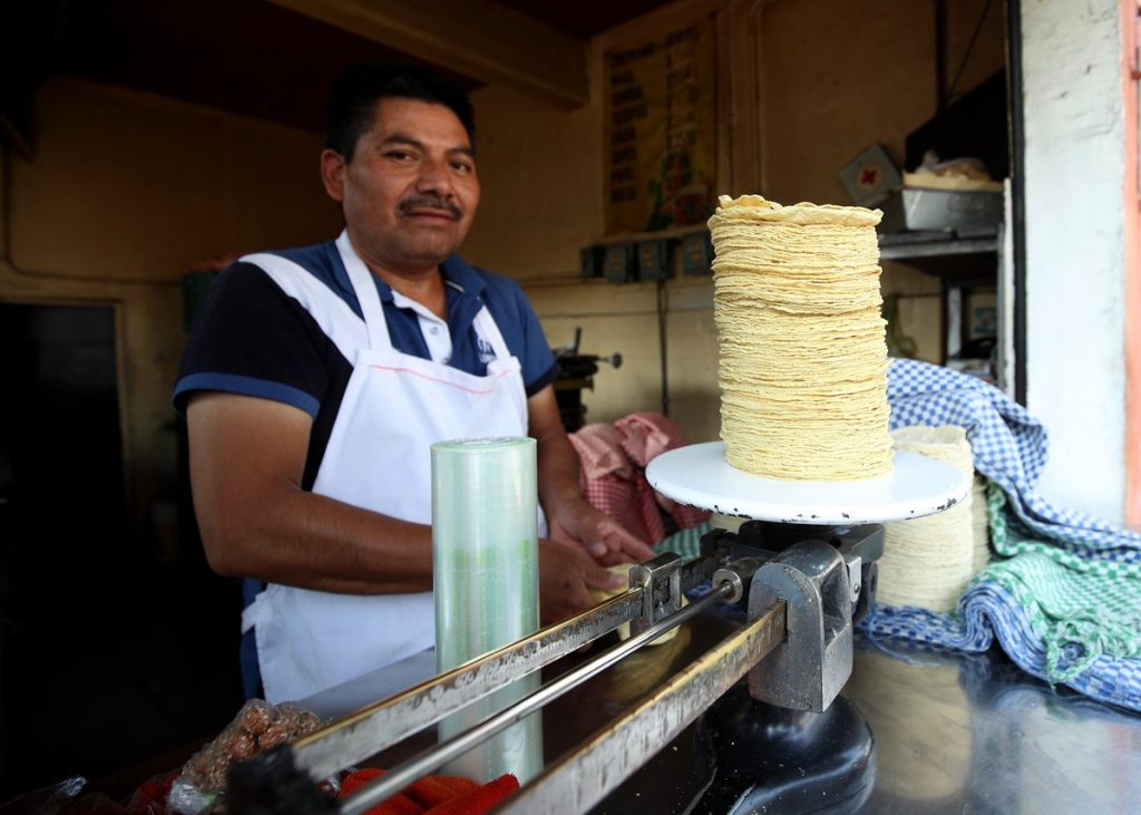 aumento precio tortilla Sheinbaum